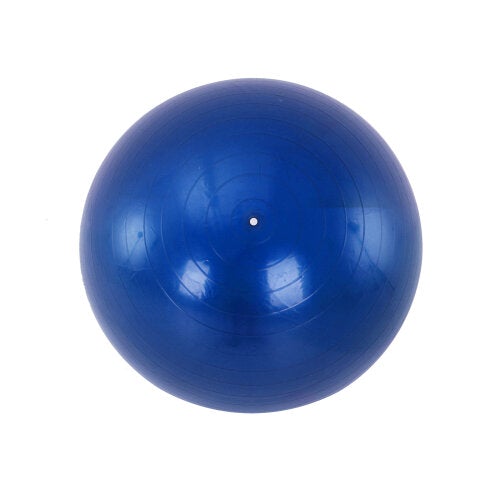 Gym Balls Occupational Therapy Multi-Sensory World Blue 