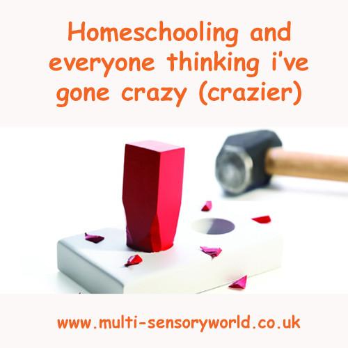 Homeschooling and everyone thinking I’ve gone crazy (crazier)